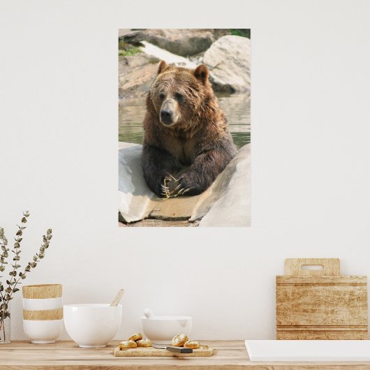 Grizzlybär großes Poster 2 (Küche)