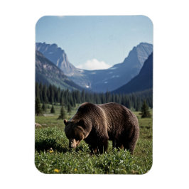 Grizzlybär im Glacier-Nationalpark-Reisebericht Magnet