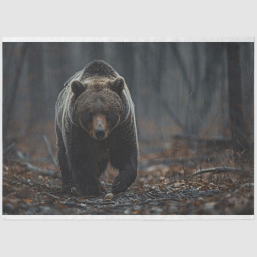 Grizzlybär im Holzdekoupage Seidenpapier (Vorderseite)