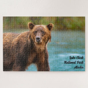 Grizzlybär im Lake-Clark-Nationalpark Puzzle