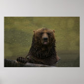 Grizzlybär im Wasser Poster (Vorne)