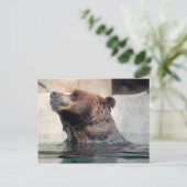 Grizzlybär im Wasser Postkarte (Stehend Vorderseite)