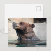 Grizzlybär im Wasser Postkarte (Vorne/Hinten)