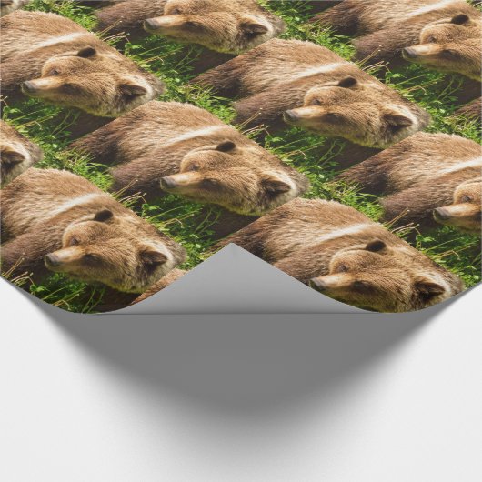 Grizzlybär Kodiak Wrapping Paper Geschenkpapier (Ecke)