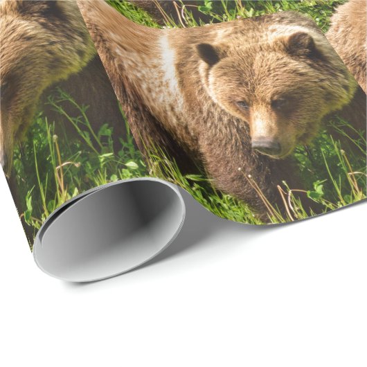 Grizzlybär Kodiak Wrapping Paper Geschenkpapier (Rolleneckpunkt)