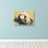 Grizzlybär Leinwanddruck (Insitu (Holzboden))