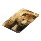 Grizzlybär Magnet (Linke Seite)