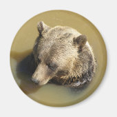 Grizzlybär Magnet (Vorne)