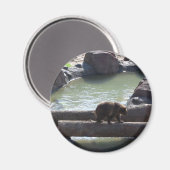 Grizzlybär Magnet (Vorderseite/Rückseite)