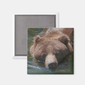 Grizzlybär Magnet (Vorderseite/Rückseite)