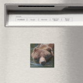 Grizzlybär Magnet (In Situ (Geschirrspüler))