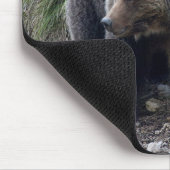 Grizzlybär mit CUB Mousepad (Ecke)