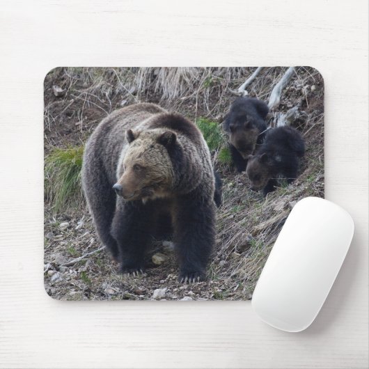 Grizzlybär mit CUB Mousepad (Mit Mouse)