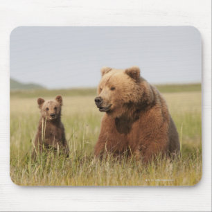 Grizzlybär mit CUB Mousepad