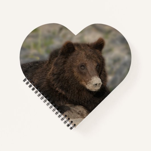 Grizzlybär mit einer Nose-Leinwand Notizblock (Vorderseite)