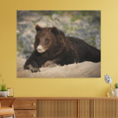 Grizzlybär mit Sandnase Leinwanddruck (Insitu (Wohnzimmer))