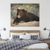 Grizzlybär mit Sandnase Leinwanddruck (Insitu (Schlafzimmer))