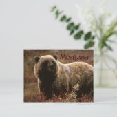 Grizzlybär Montana Postkarte (Stehend Vorderseite)