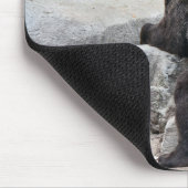 Grizzlybär Mousepad (Ecke)