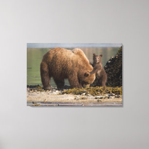 Grizzlybär-Mutter mit Jungtier an einem Strand Leinwanddruck
