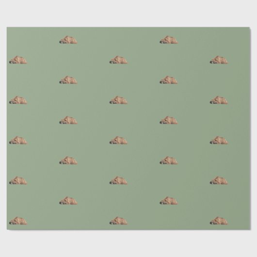 Grizzlybär-Packpapier Geschenkpapier (Flach)