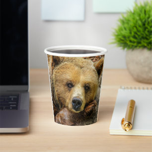 Grizzlybär Pappbecher