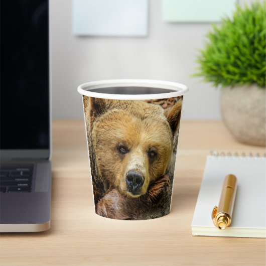 Grizzlybär Pappbecher (InSitu)