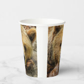 Grizzlybär Pappbecher (Rechts)