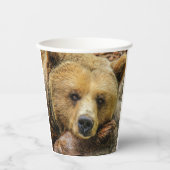Grizzlybär Pappbecher (Vorderseite)