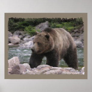 Grizzlybär - Pastelle Poster