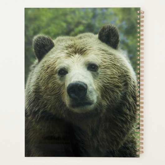 Grizzlybär Planer (Rückseite)