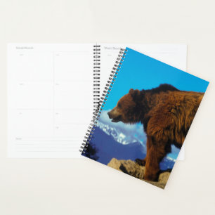 Grizzlybär Planer