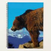 Grizzlybär Planer (Vorderseite)