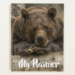 Grizzlybär Planer