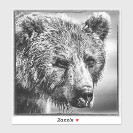 Grizzlybär-Portrait Aufkleber (Blatt)