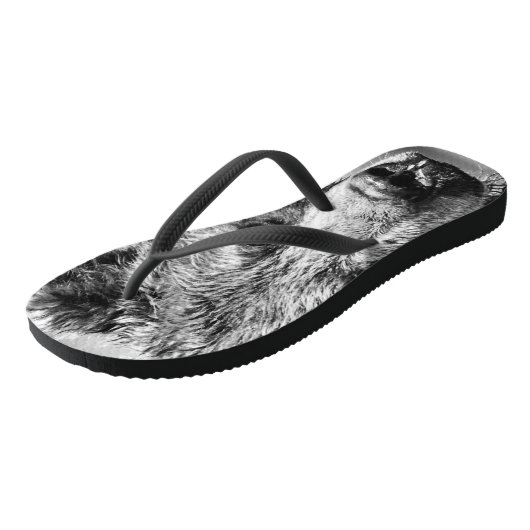 Grizzlybär-Portrait Badesandalen (Schrägansicht)