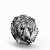 Grizzlybär-Portrait Fotoblock (Rechts)