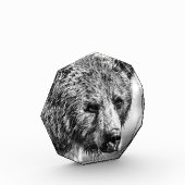 Grizzlybär-Portrait Fotoblock (Links)