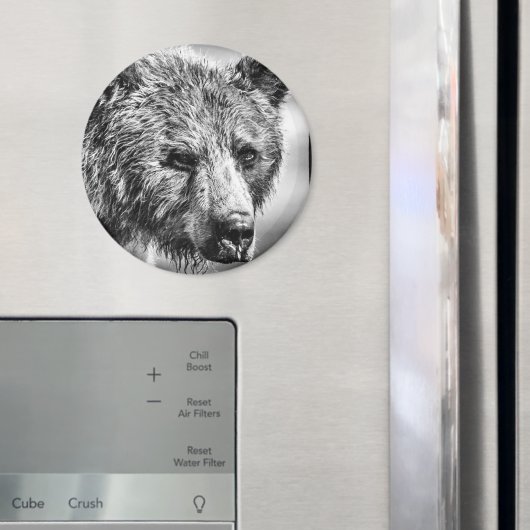 Grizzlybär-Portrait Magnet (In Situ (Kühlschrank))