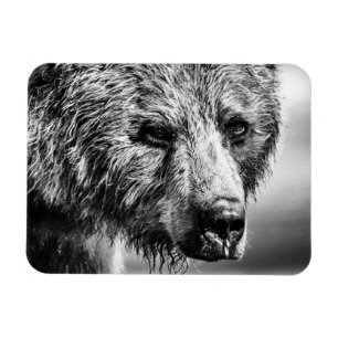Grizzlybär-Portrait Magnet