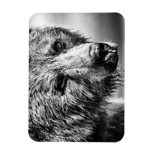 Grizzlybär-Portrait Magnet (Vertikal)