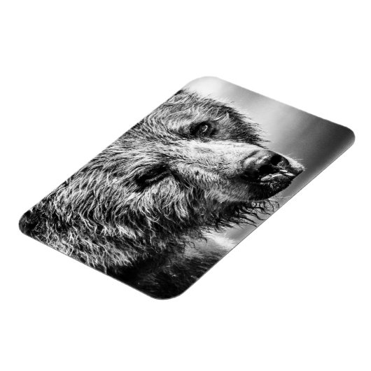 Grizzlybär-Portrait Magnet (Linke Seite)