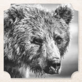 Grizzlybär-Portrait Untersetzer (Vorderseite)
