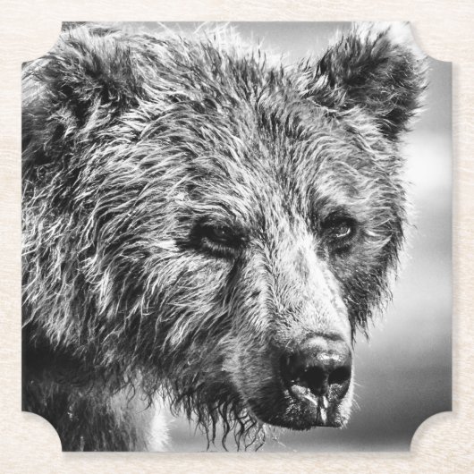 Grizzlybär-Portrait Untersetzer (Vorderseite)