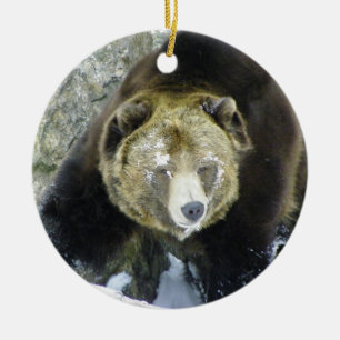Grizzlybär-Porträt im Schnee Keramik Ornament