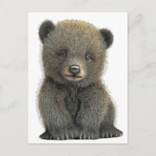 Grizzlybär POSTCARD Postkarte