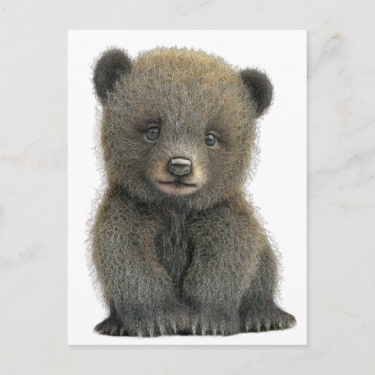 Grizzlybär POSTCARD Postkarte (Vorderseite)