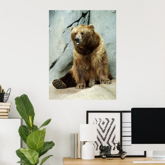 Grizzlybär Poster (Heimbüro)