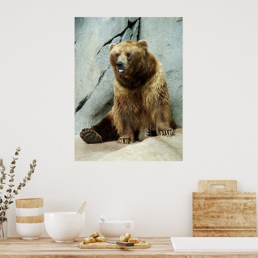 Grizzlybär Poster (Küche)