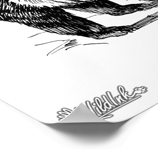 Grizzlybär Poster (Ecke)